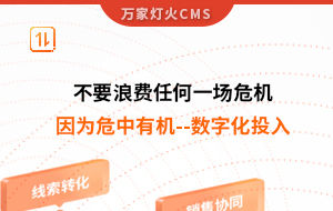 不要浪費任何一場危機，因為危中有機--數字化投入